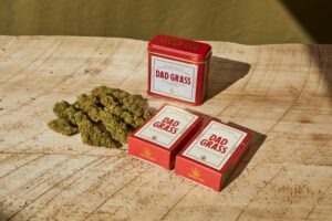 cbg vs cbd