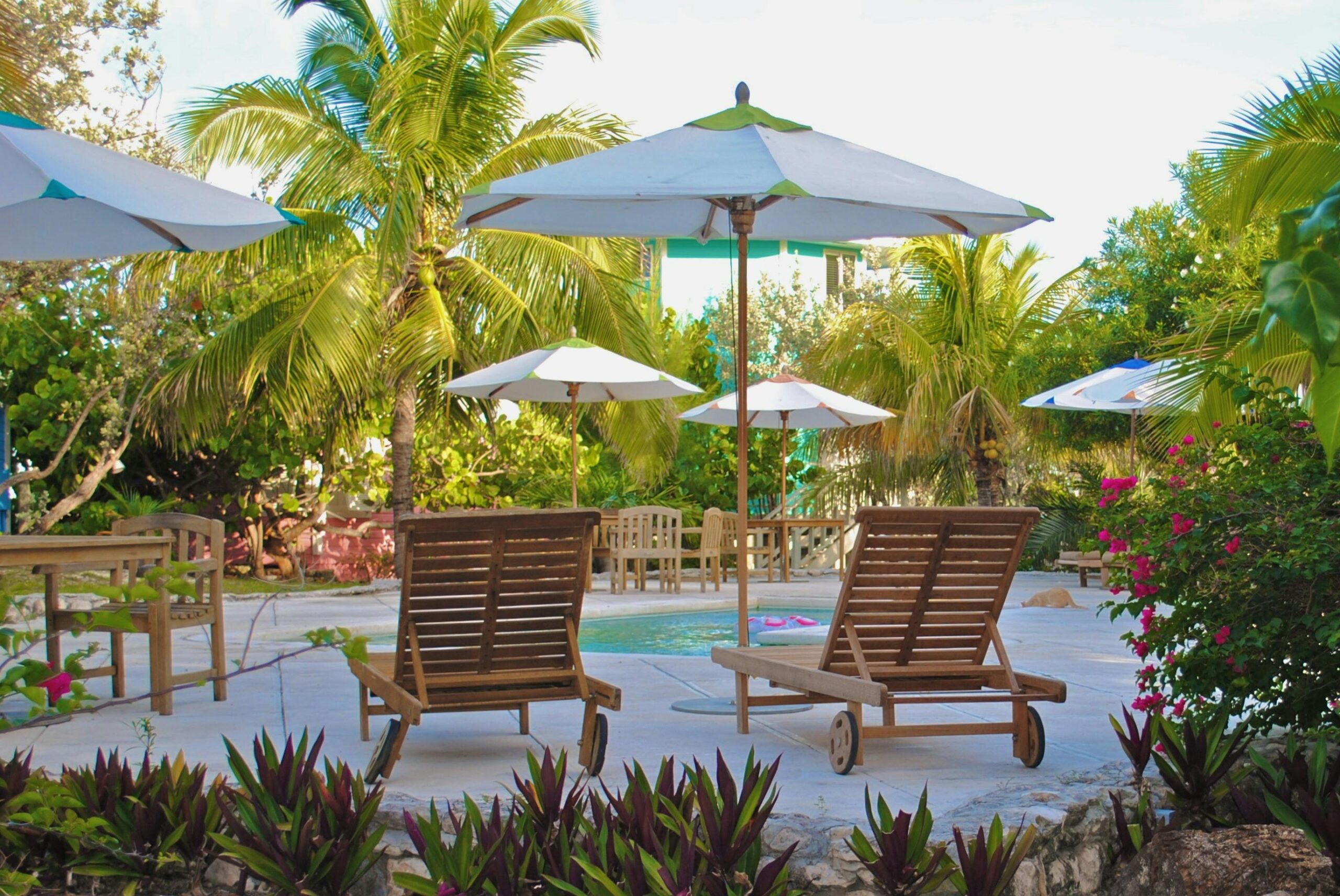 patio umbrella