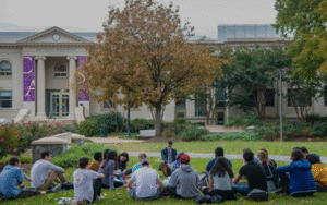 american university