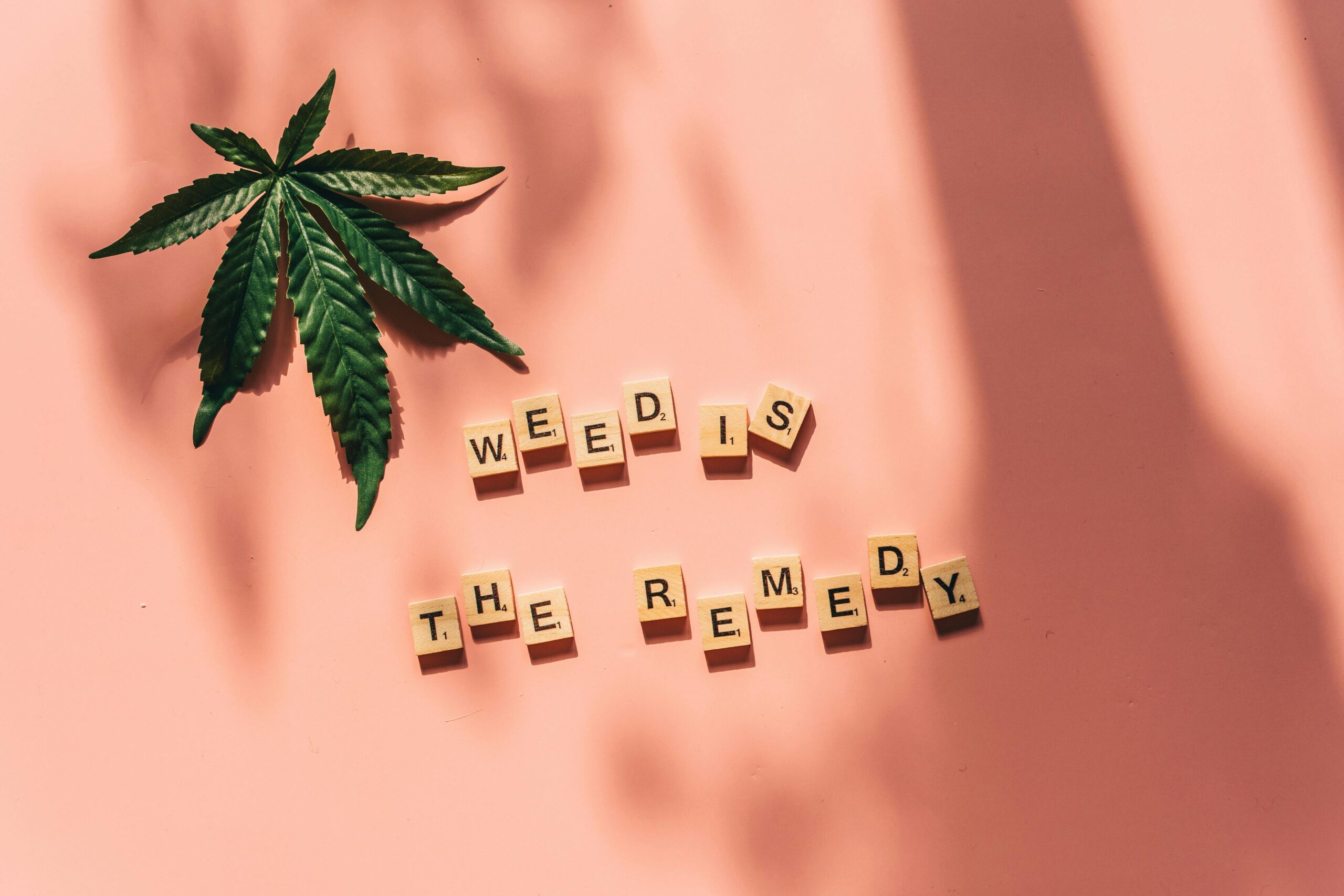 cbd vape